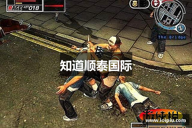 知道顺泰国际